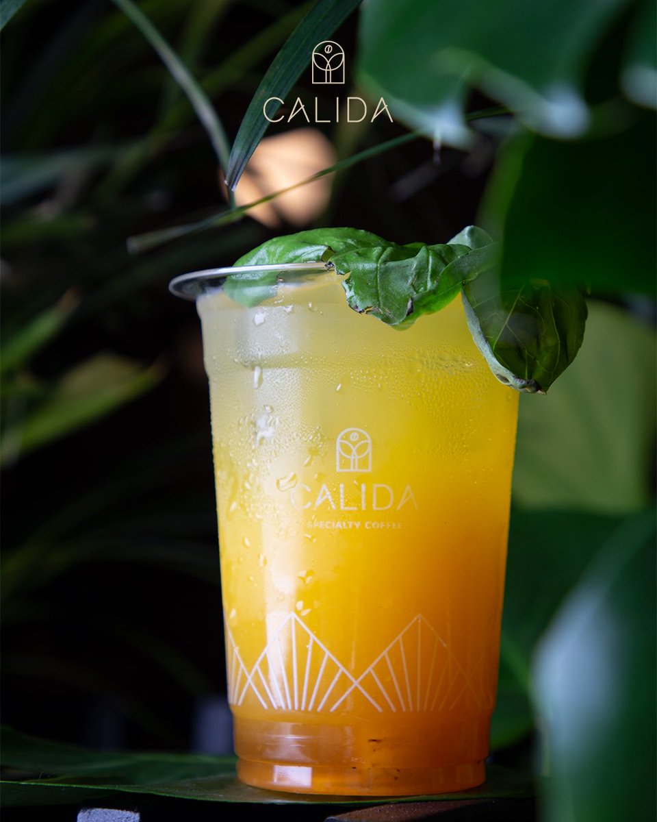 CalidaCoffee's tweet photo. برّد على نفسك بـ #لوكو_موهيتو مشروبنا المميز 😍🍹
Refresh your self with our special #loco_mojito 😍🍹

#calida #specialtycoffee #coffee #Jeddah #city_walk #jeddah_season
#كاليدا #قهوة_مختصة #قهوة #كافي #كوفي_شوب #جدة#موسم_جدة #سيتي_ووك https://t.co/ozYA1qb77c