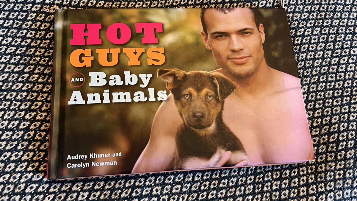JamesAB_FK's tweet photo. You know my favourite things in life @Rita_Seagull, in fact I have a book here in our mini library that matches your birthday card xxx #mustlovedogs #mustlovepets thank you Osley 🏳️‍🌈 https://t.co/HYiqyoxPPw
