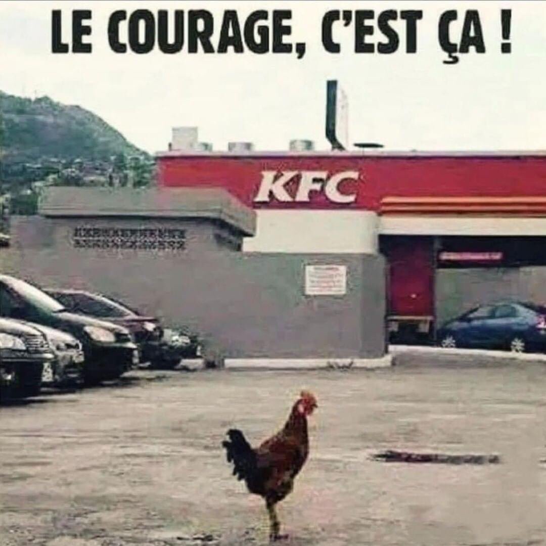 Beauvois Frédérique (@beauvoisfrdriq1) on Twitter photo 