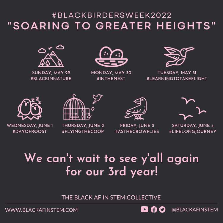 NCStateCNR's tweet photo. All week long, @BlackAFinSTEM is hosting events to celebrate birding. This evening's focus is #LearningToTakeFlight, with activities focused around participants' birding stories.
Check out the full roster of events. ➡️ https://t.co/1p66w2mzqm
#BlackBirdersWeek2022 https://t.co/16WNXXS9EU