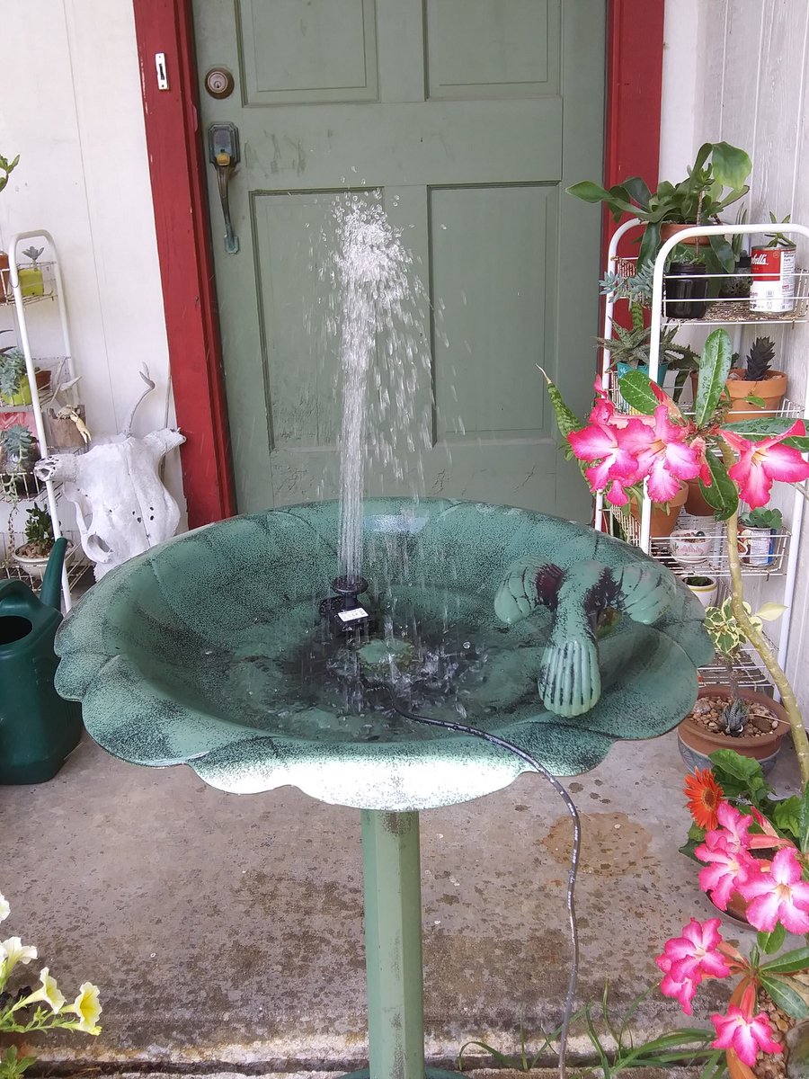 tammy4u2nv's tweet photo. Testing out my solar powered john~blaze shit. Why?? https://t.co/iL2evZpIur