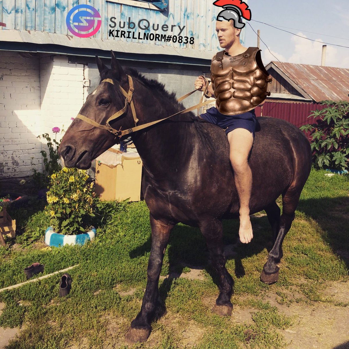 mrnormi4.eth ꧁IP꧂ tweet media