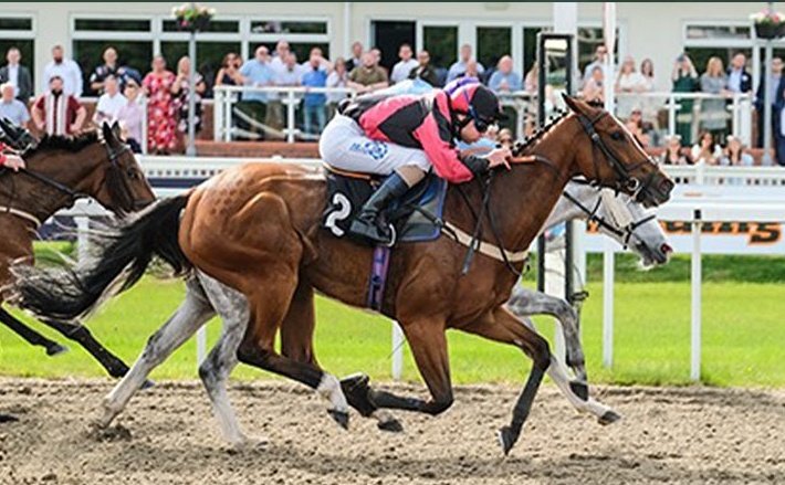 DerbysRacing's tweet photo. VIVENCY returns to @ChelmsfordCRC on Thursday to contest the 7f fillies handicap. A winner over C&D last time, she is in good order and @D_Muscutttt rides. Fingers crossed for a big run π€πβοΈ #vivency #derbyshireracing #johnmackieracing https://t.co/sfGBQLLFfI