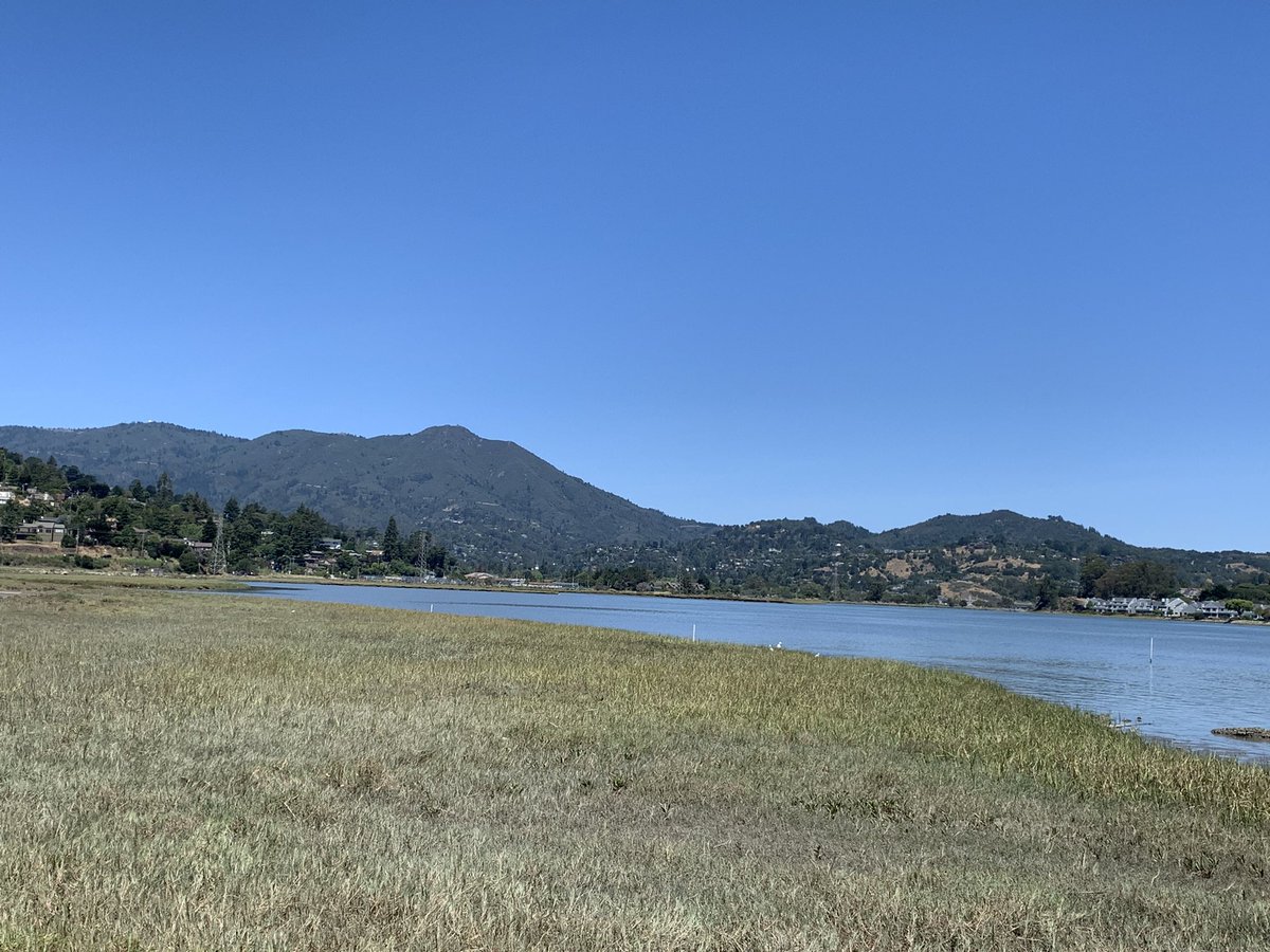 Wonderful to be back in Marin seeing friends and family. The magnificent Mt Tam, Aikido of Tamalpais dojo and lots of sunshine and water. Nobel, Awesome and Shiny.