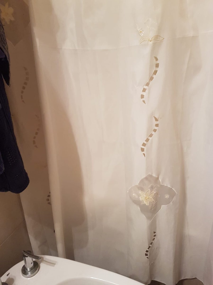 There is no cat in this image tweet media