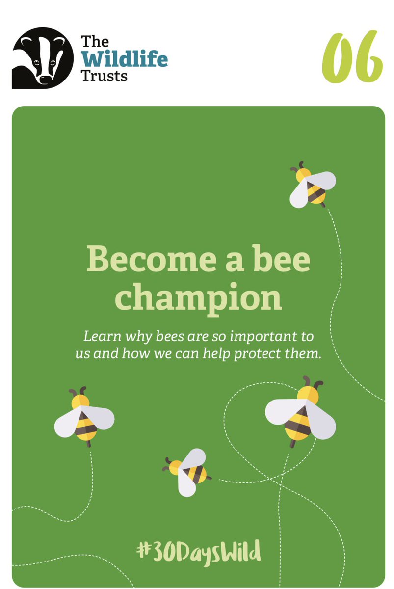 missallanhps's tweet photo. Today we looked at why Bees are important and how to protect them 🐝 

We already knew why they are so important for pollinating food we need to survive and flowers/tress for wildlife.

Ask us how we can protect the bees 🐝 

#30DaysWild https://t.co/LK8jBE0Zvg
