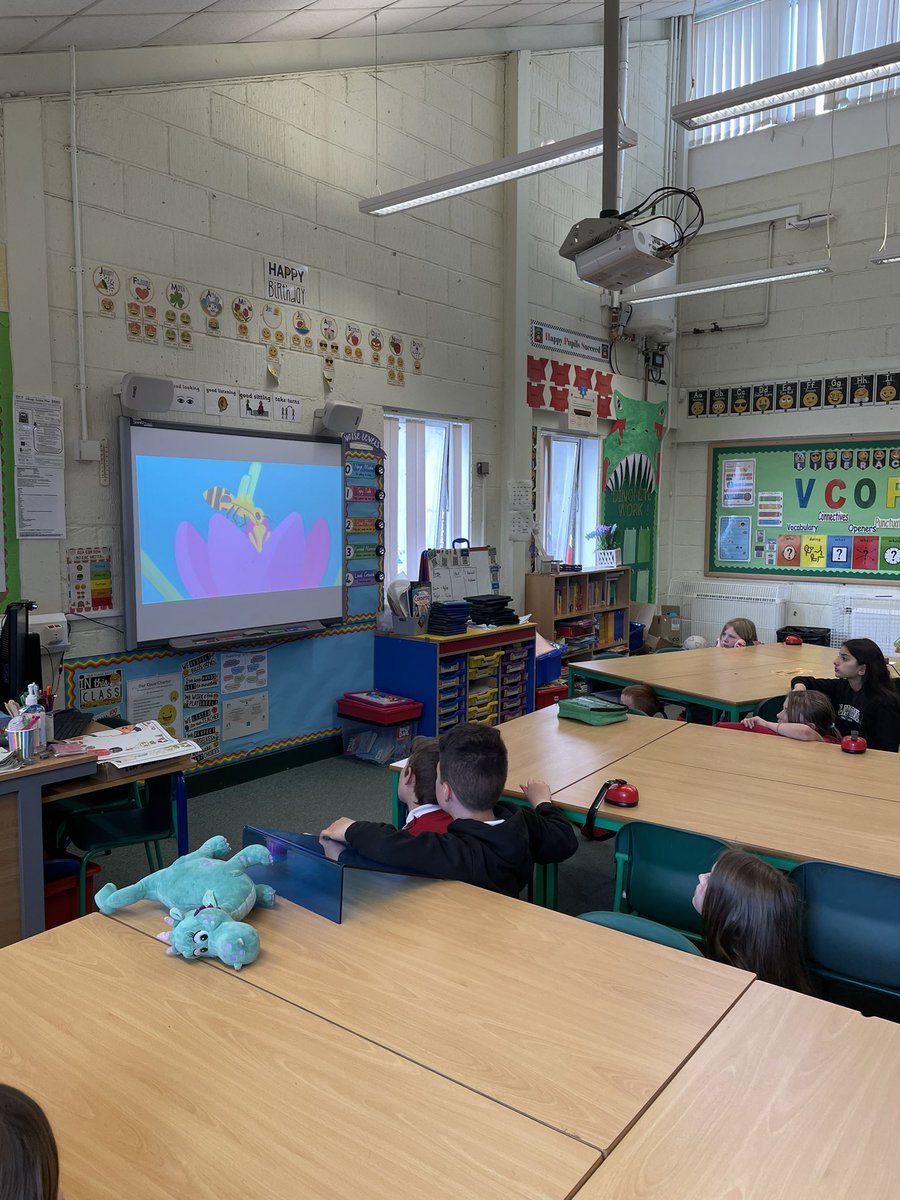 missallanhps's tweet photo. Today we looked at why Bees are important and how to protect them 🐝 

We already knew why they are so important for pollinating food we need to survive and flowers/tress for wildlife.

Ask us how we can protect the bees 🐝 

#30DaysWild https://t.co/LK8jBE0Zvg