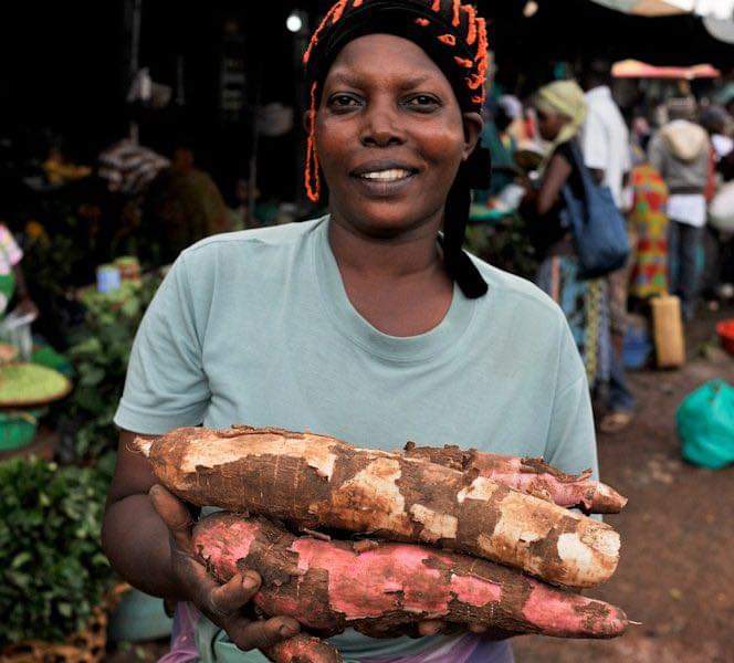 lokwang alfred tweet media