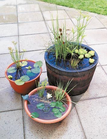 KerriePayne11's tweet photo. So I've decided I would like a container pond in the back garden ๐ Hubby has had his instructions "One like these would be lovely darling,thankyou in advance" ๐คฃ
#gardening #miniponds #wildlife https://t.co/y4MY7Lgxdy