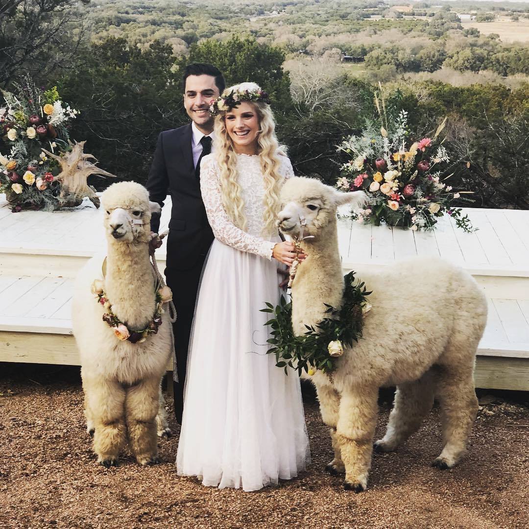 Destination Dripping Springs tweet media