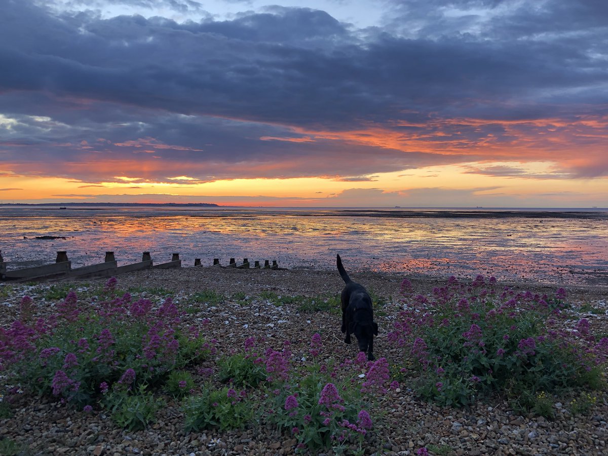 Shelagh O'Riordan tweet media