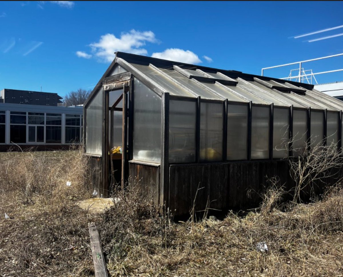 NJHScience7's tweet photo. Nice work on the shed too! We had 2 groups help organize and paint the shed for their @HopkinsNJH270 IB capstone community project (Jack Guggenheimer, Bear Ingebretson, Daniel Wiel, Lilia Scherwinski, and Morgan Holliday). Thanks to @HEF270 for the grant $$ to pay for the paint! https://t.co/oobN4kU3iP