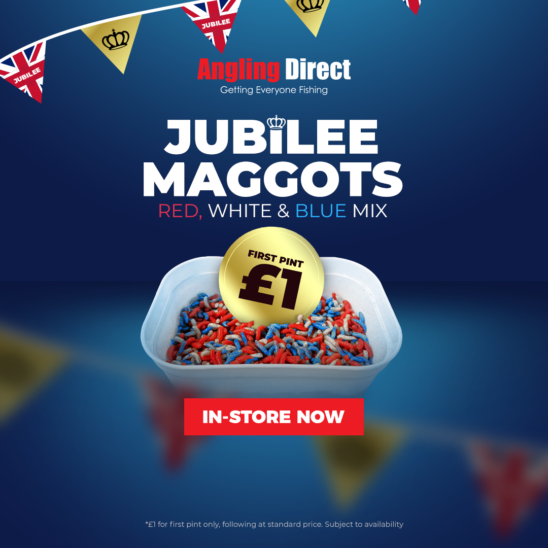 Still going strong jubilee mix maggots £1.00 cone get some