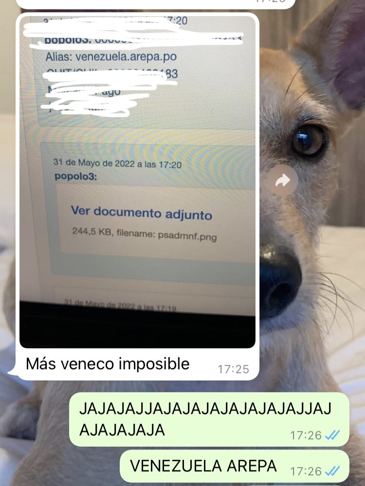 AnnaNavaV's tweet photo. pov tu novio entiende y domina el término veneco https://t.co/a2CmuzVHKb