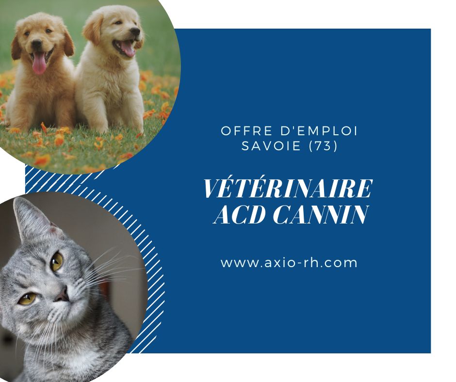 RhAxio's tweet image. REMPLACEMENT LONG 𝙐𝙍𝙂𝙀𝙉𝙏 !
Vétérinaire ACD canin jusqu'au 31 août 2022 
Tous profils bienvenus
 Cliquez juste ici pour découvrir notre 𝙖𝙣𝙣𝙤𝙣𝙘𝙚 : bit.ly/3tkuiD3
#savoie #recrutementvétérinaire #CDD #remplacement