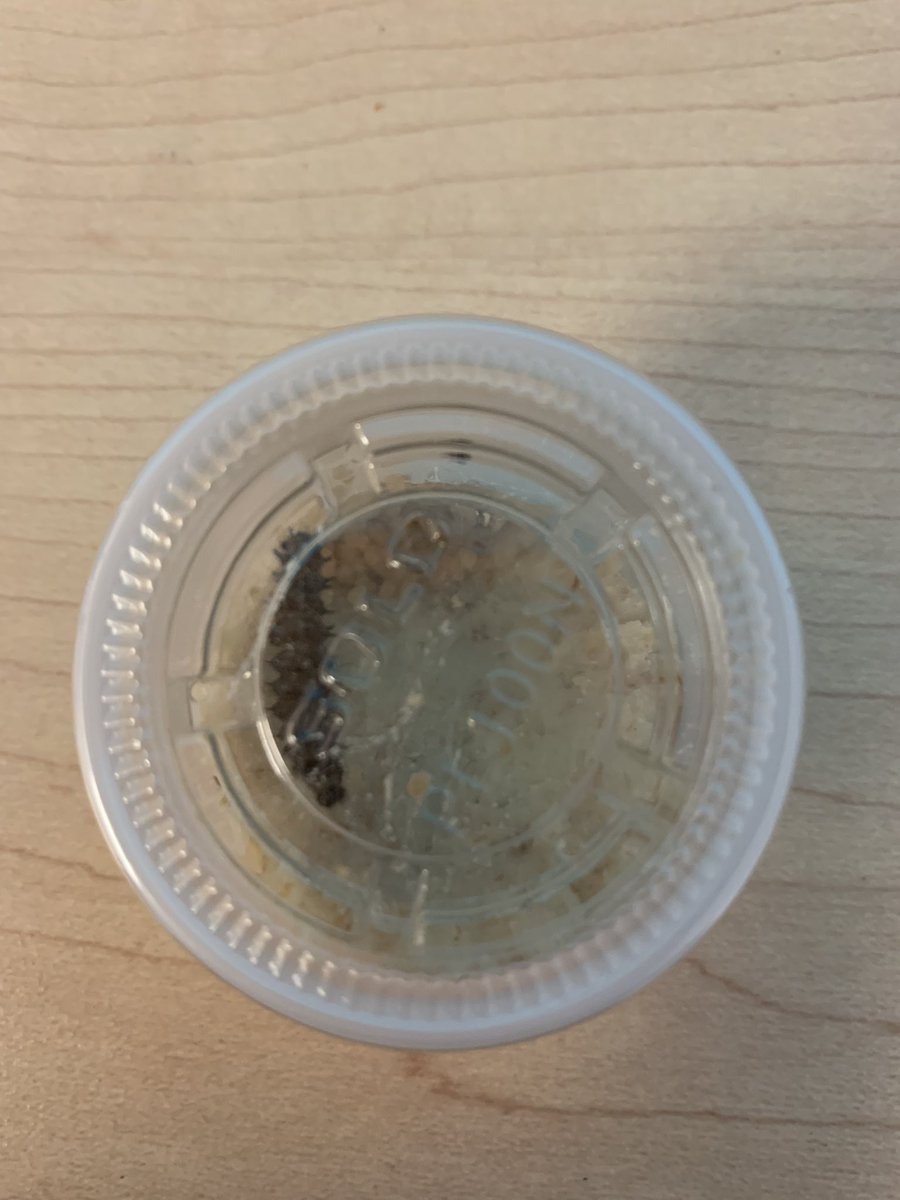 Julie Williams tweet media