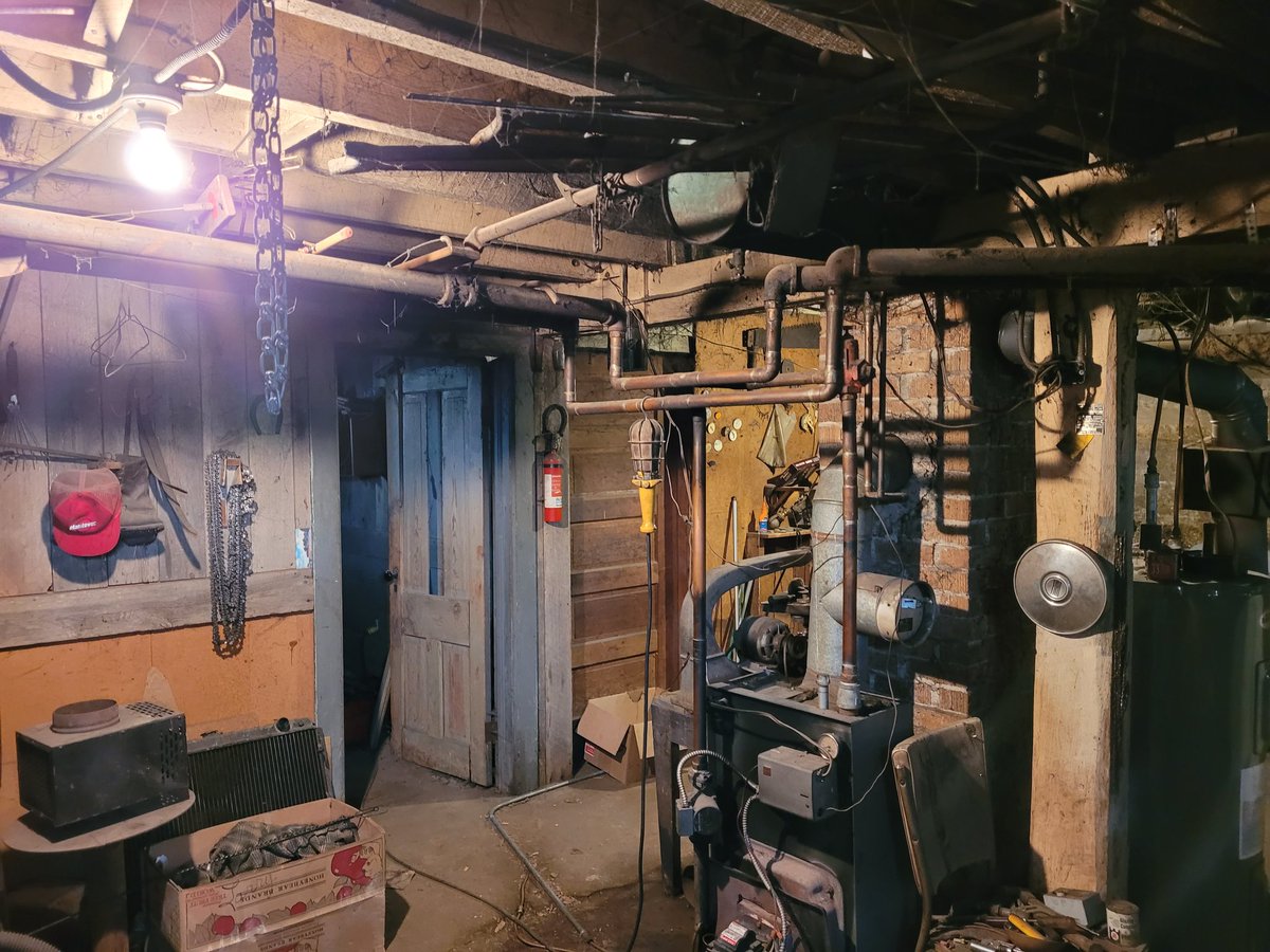 ChickenHeart5's tweet photo. My uncle's basement is pretty much the fruit cellar from Evil Dead 2 https://t.co/W9m9Jb4Ri9