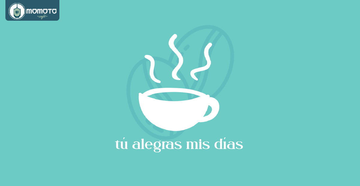 Momoto Café tweet media