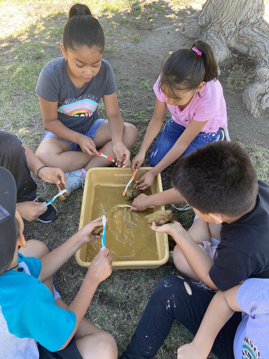 Orquidea Ocampo tweet media