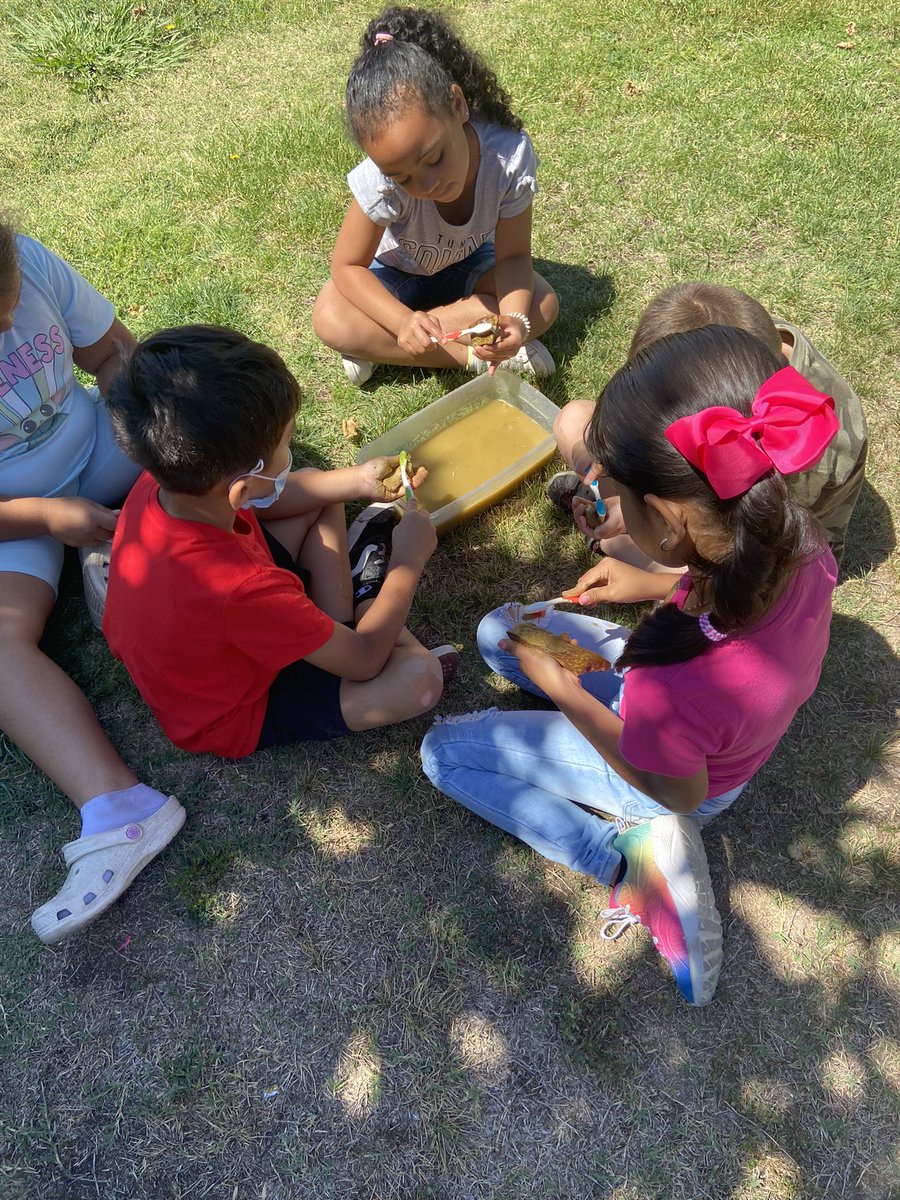 Orquidea Ocampo tweet media