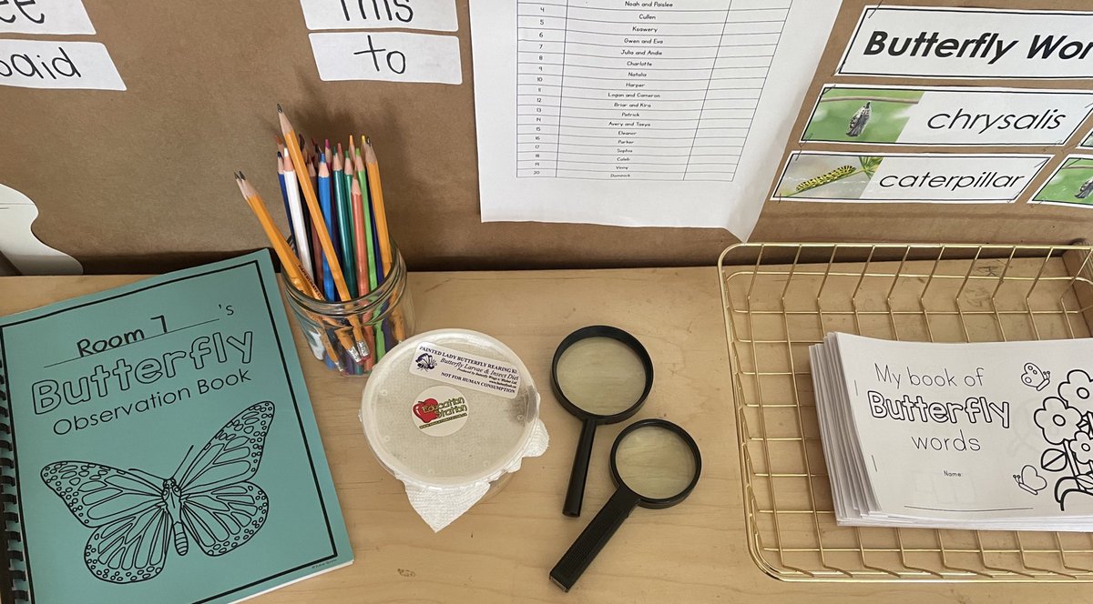 miss_eden_'s tweet photo. We are so excited that our caterpillars are finally here! 🐛Time to observe them in our observation book 🔎 @hfsnewhamburg https://t.co/8eBgJtOO5v