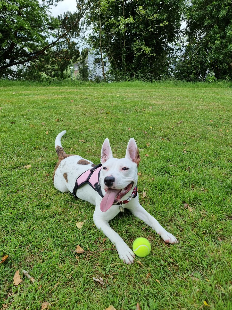 RuisongHan's tweet photo. This little girl felt tired and did not want to play anymore. https://t.co/AtdzvWJyU6