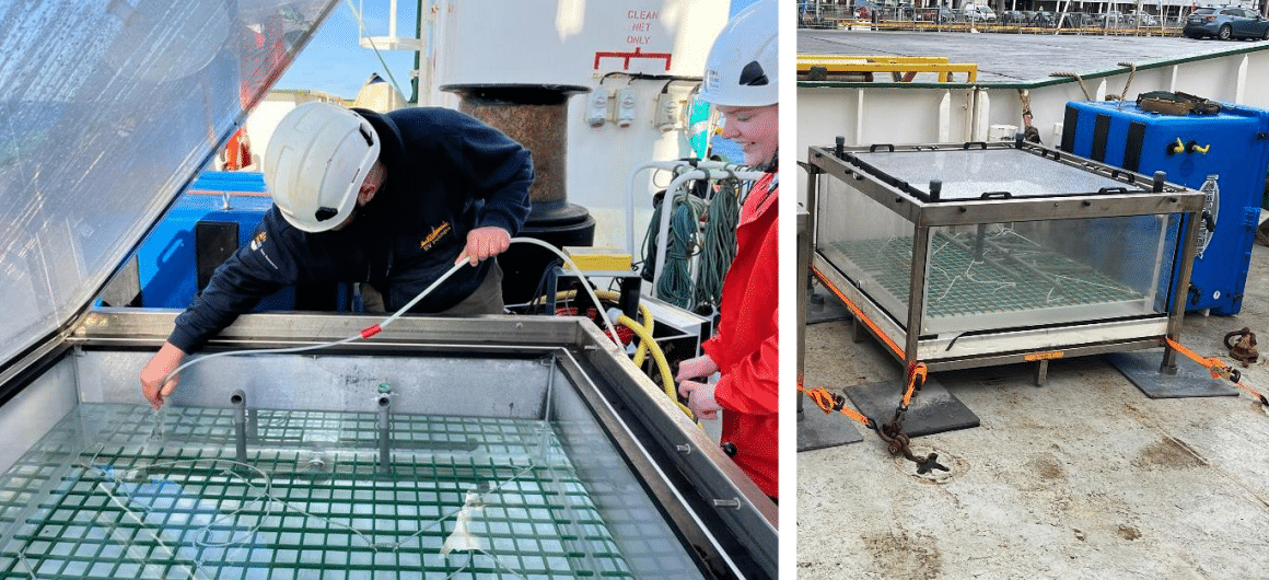 No 5️⃣ blog from the Labrador Sea Research Expedition

Introducing Planky, our PlanktoScope <a href="/LoayJabre/">Loay Jabre لؤي‎</a> PhD Candidate <a href="/DalhousieU/">Dalhousie University</a> <a href="/planktosquad/">Dal PlanktoSquad</a> 

Click on the link or 👉 bit.ly/3Gy2sI2

#OceansOfLearning #nwabcp #asip #labsea2022 #RVCelticExplorer bit.ly/38T1fPe