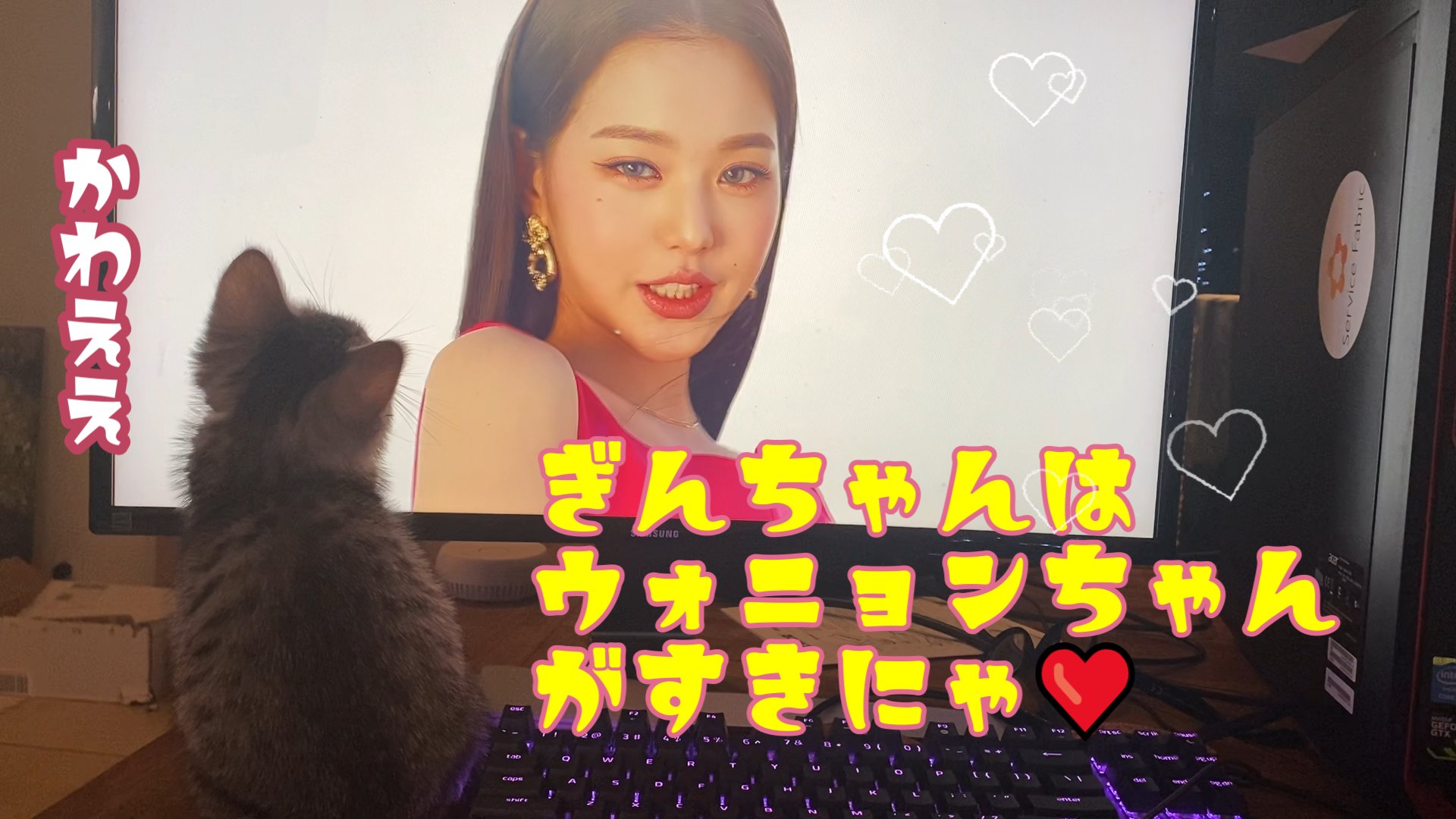 ベルギー生活 Twitter Search Twitter
