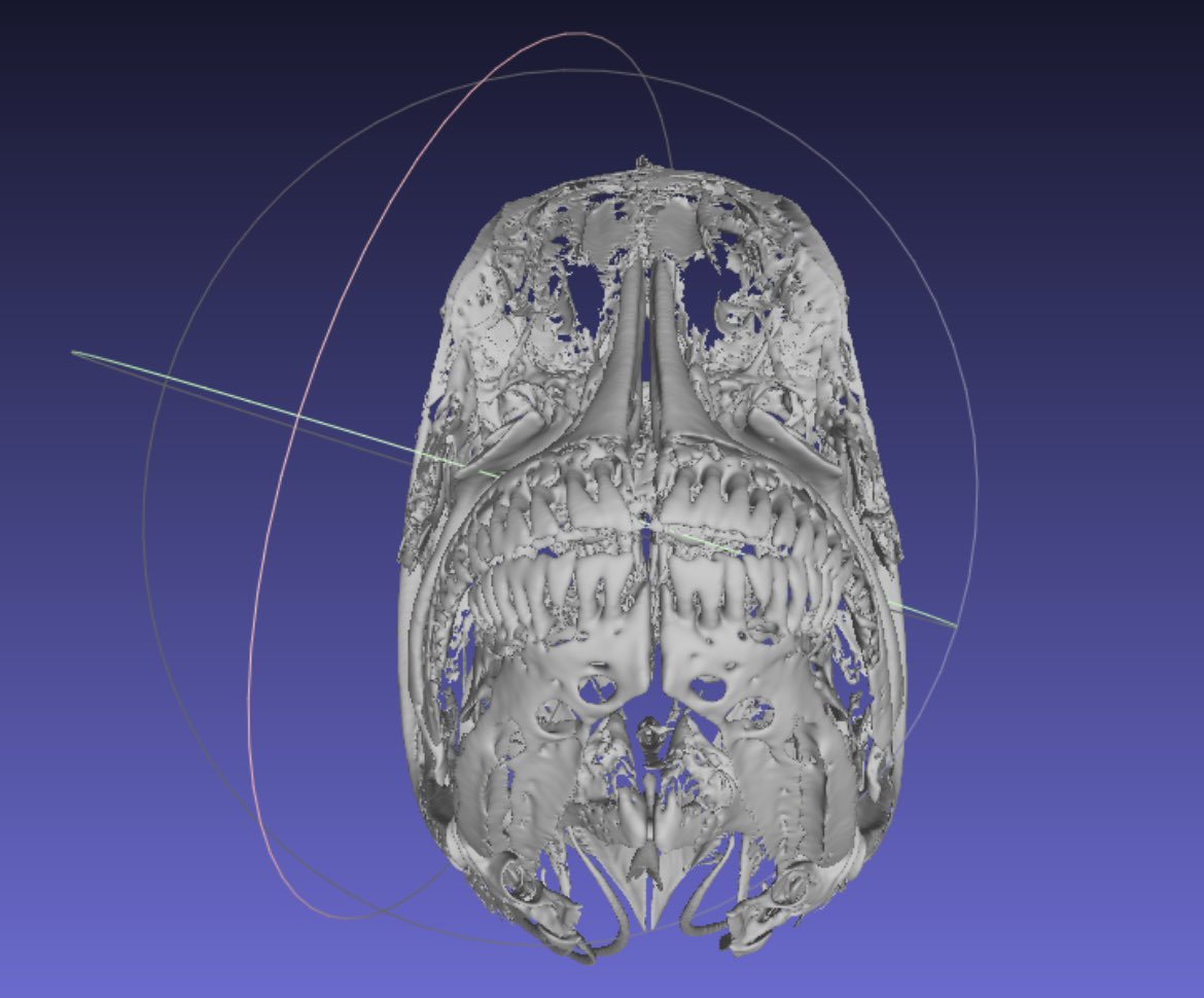 Emily Ray tweet media