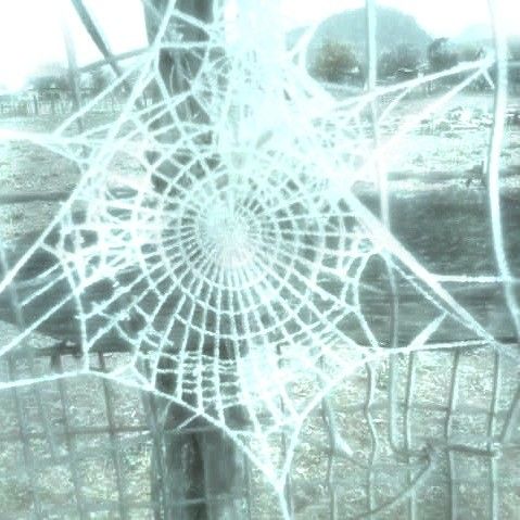 ⋆ ˚｡⋆୨♡୧⋆ ˚｡⋆ tweet media