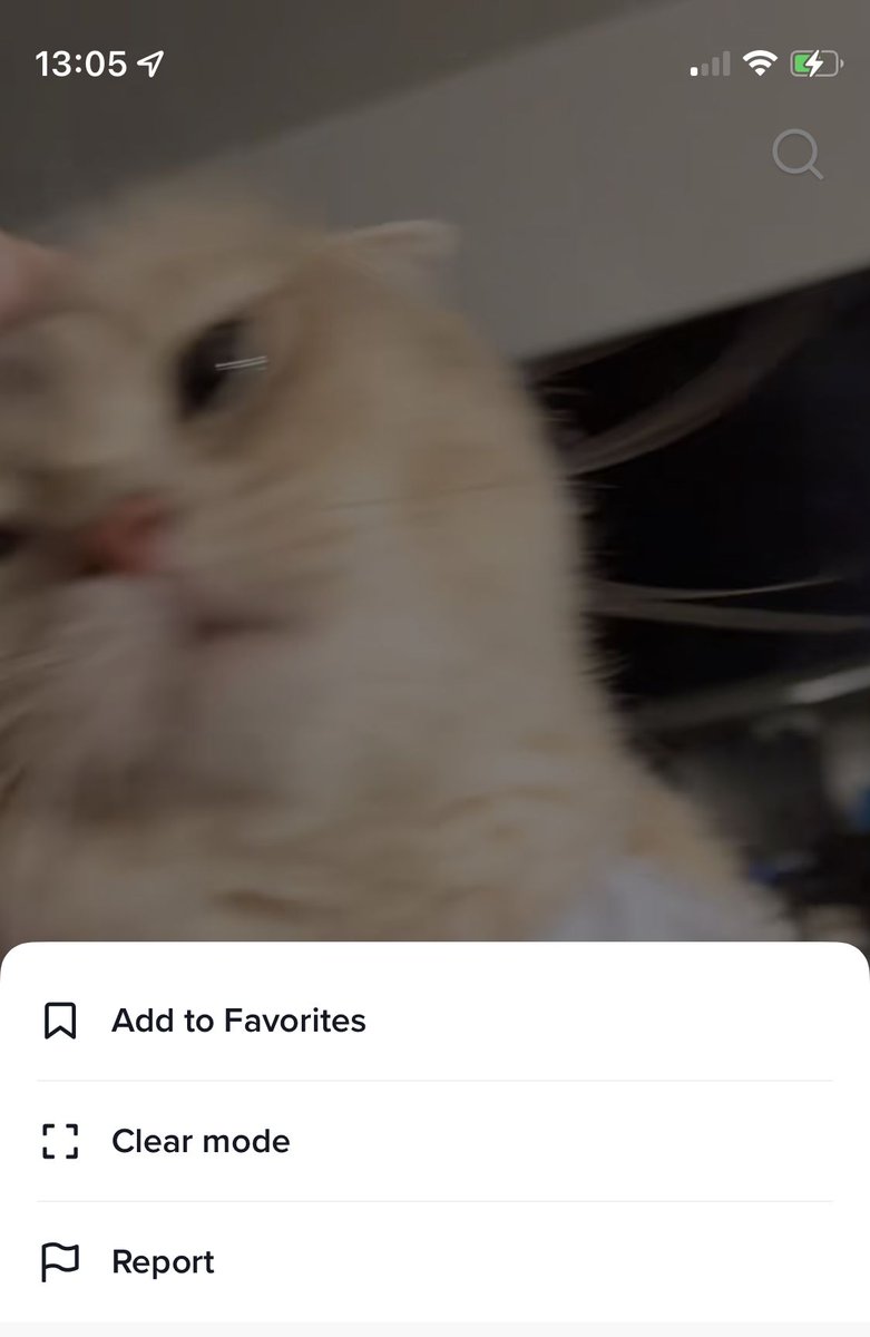 Image of this social media content