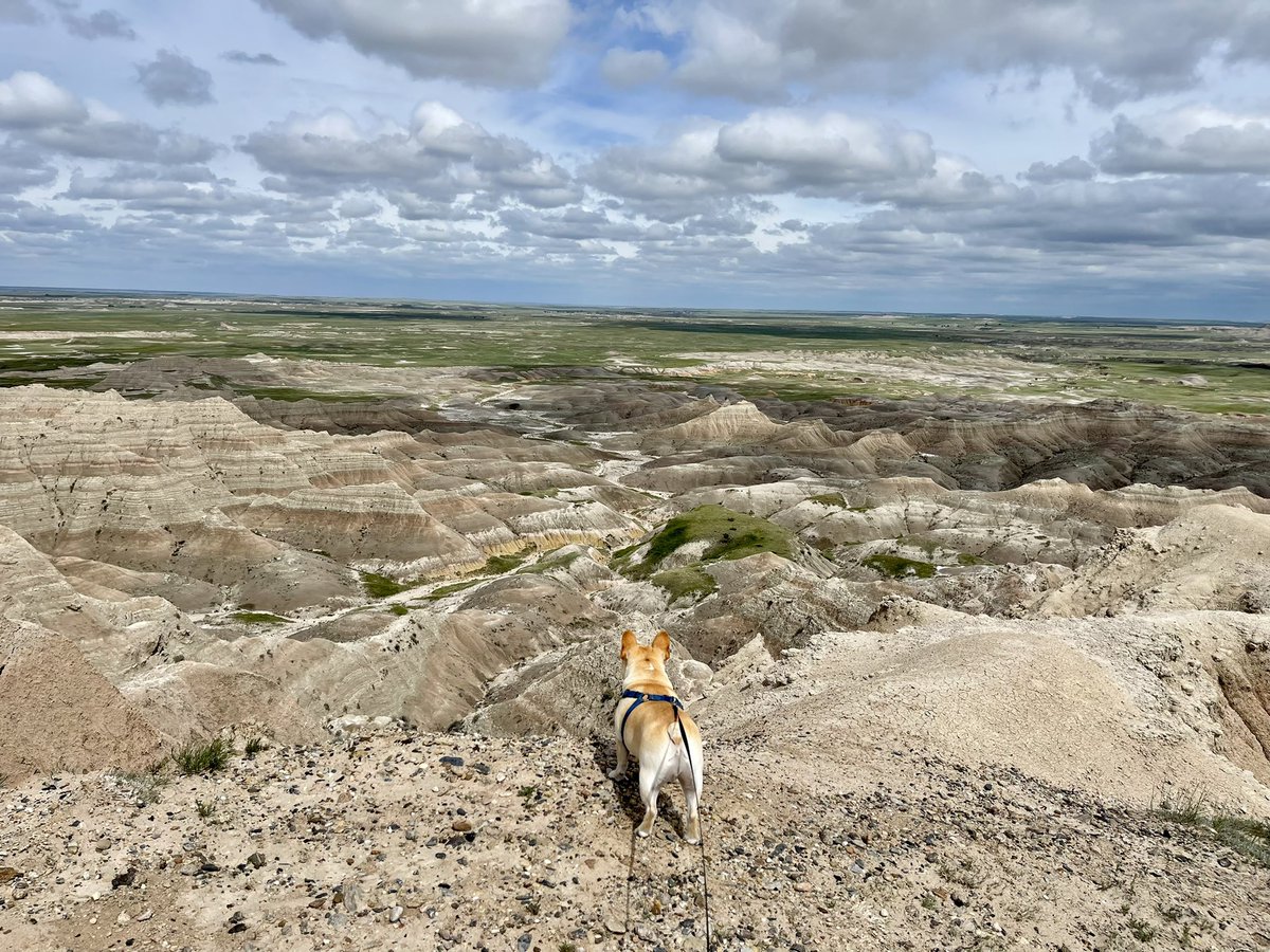 Manny (@mannywedges) on Twitter photo 