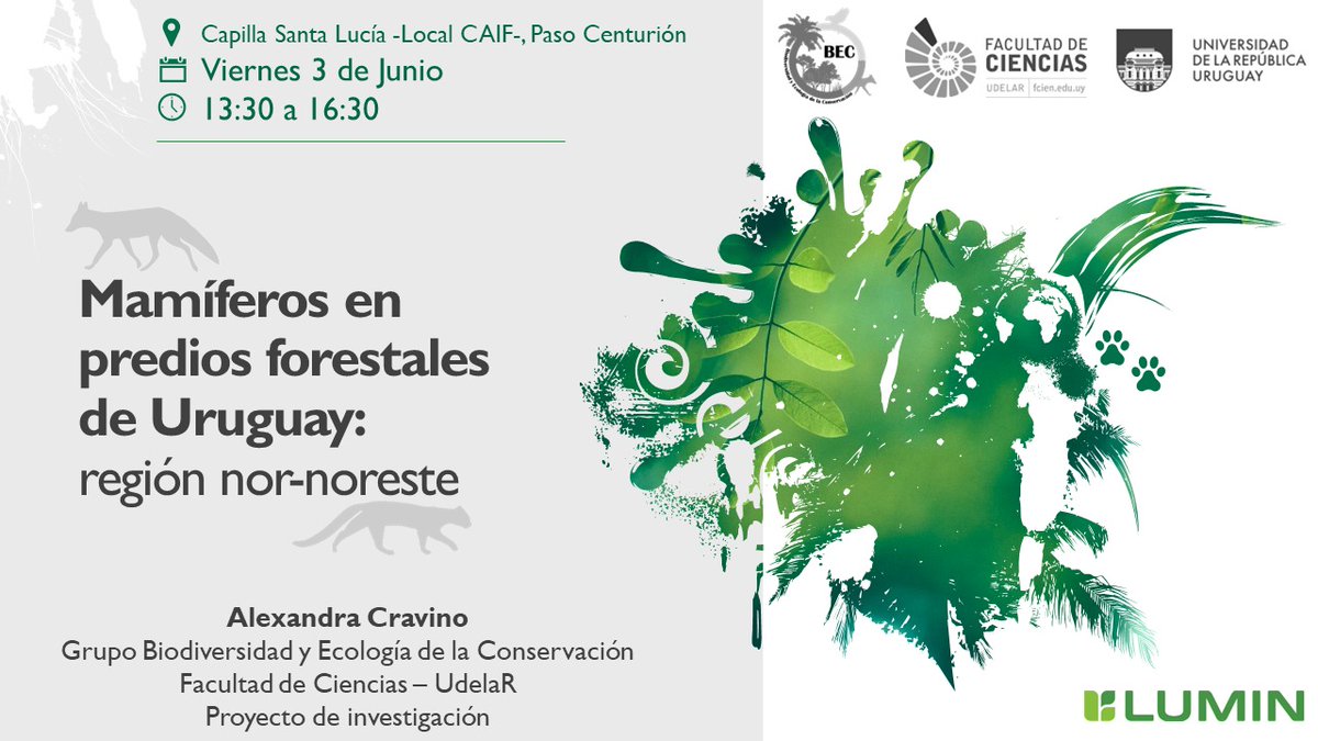 Proyecto Geoparque Cerro Largo tweet media