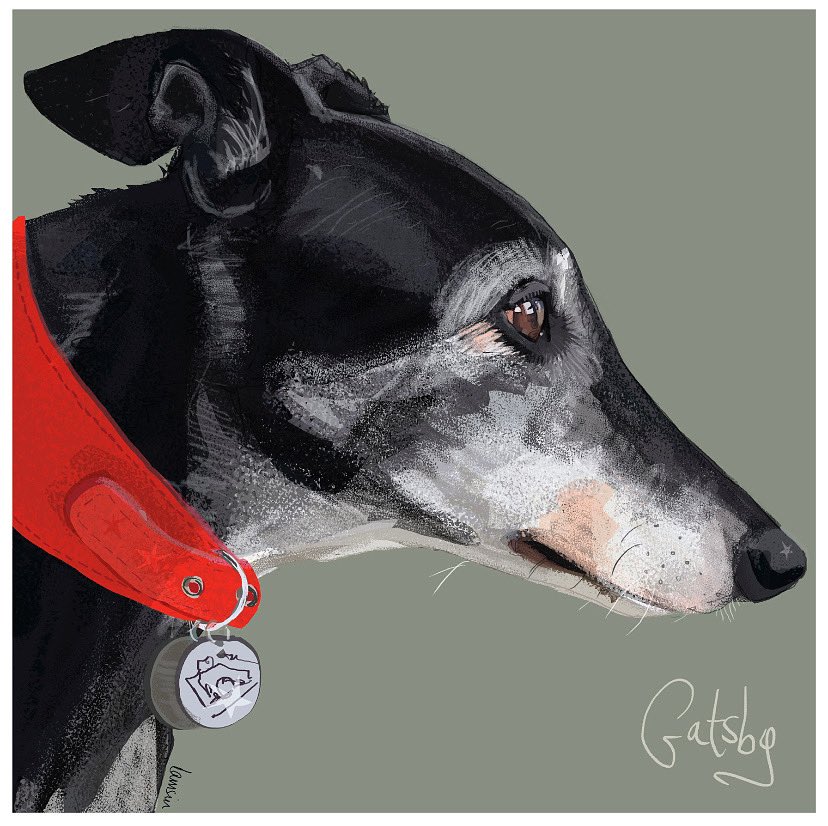 Gatsby ✨🐾❤️

#greyhound #greyhoundlove #greyhoundlife #greyhoundadoption #retiredgreyhound #retiredracer #exgreyhoundracer  #higgledyink #higgledyinkportrait #dogart #tribute #wallart #interiordesign #interiorstyling #greyhoundcorner