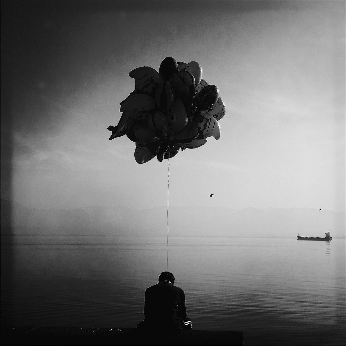 zehra5li's tweet image. So beautiful 🖤👌
Gn Tyler🤗