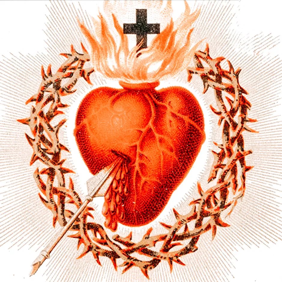 ALucieSmith's tweet photo. Brace yourselves! June is the month of the Sacred Heart of Jesus! https://t.co/McgnoTg8pn