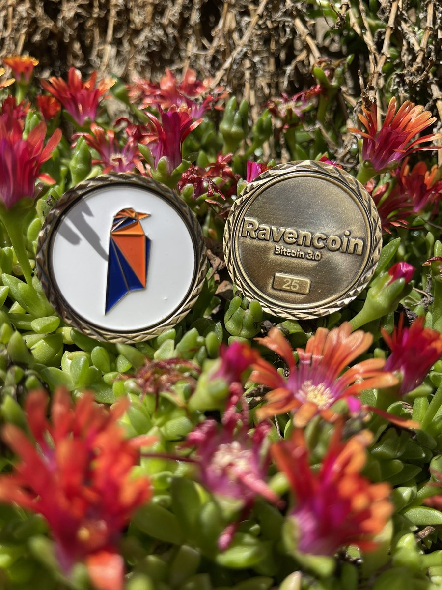 TheRavenCoin8's tweet photo. Proudly here to present to you #12 and #25
Tomorrow is launch date! Are you going to get yourself one of these limited edition #Ravencoin?
#NFT #RVN #PhysicalCoin https://t.co/UQzmxXuCaX