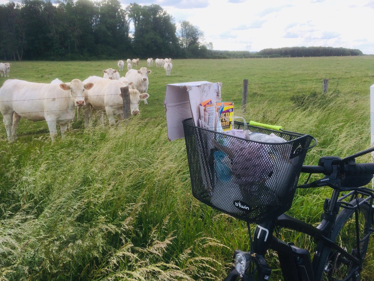 pascal_frey's tweet photo. #BikeInTrashOut episode #19 ๐ฎ
The cows are curious!
#ItsNotMyGarbageButItsMyPlanet
#biketowork https://t.co/1bzofcPSD8