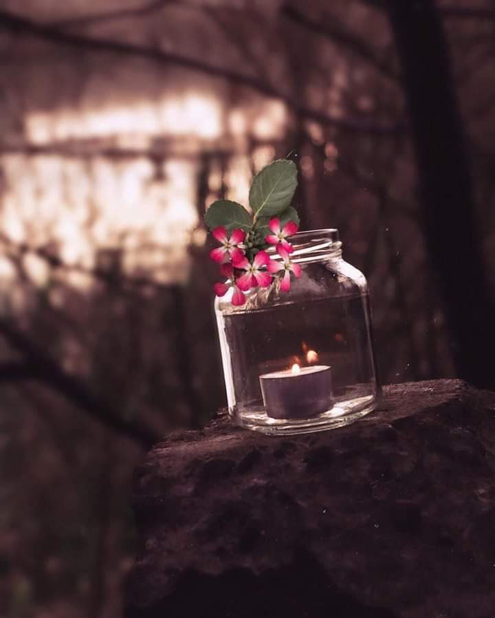 الصمت هو أفضل إجابة لمن لايقدر كلماتك