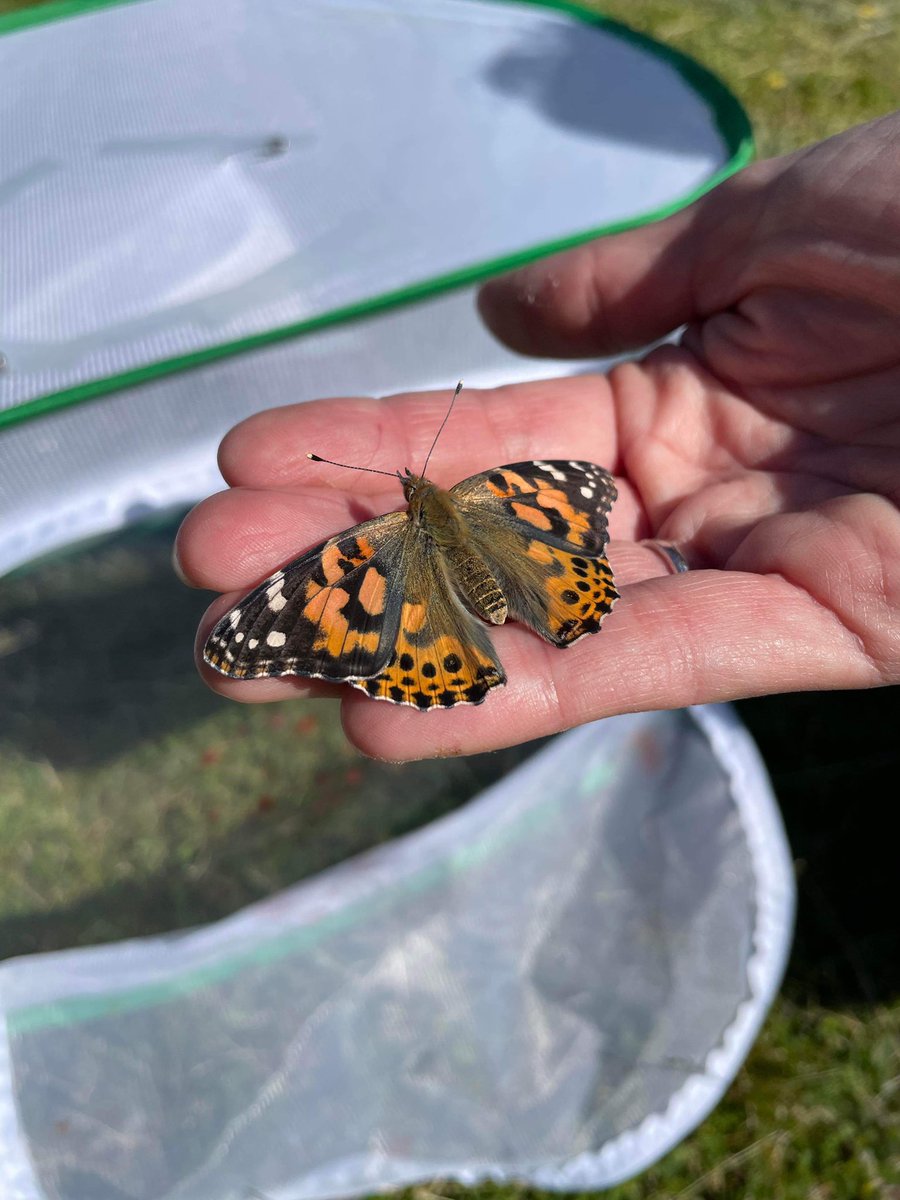 MissVictoria tweet media