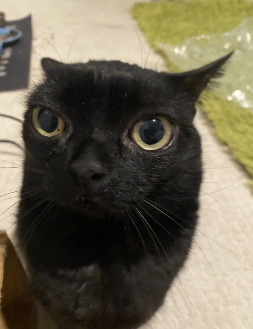 jinx on Twitter "she’s just in her own little world https//t.co