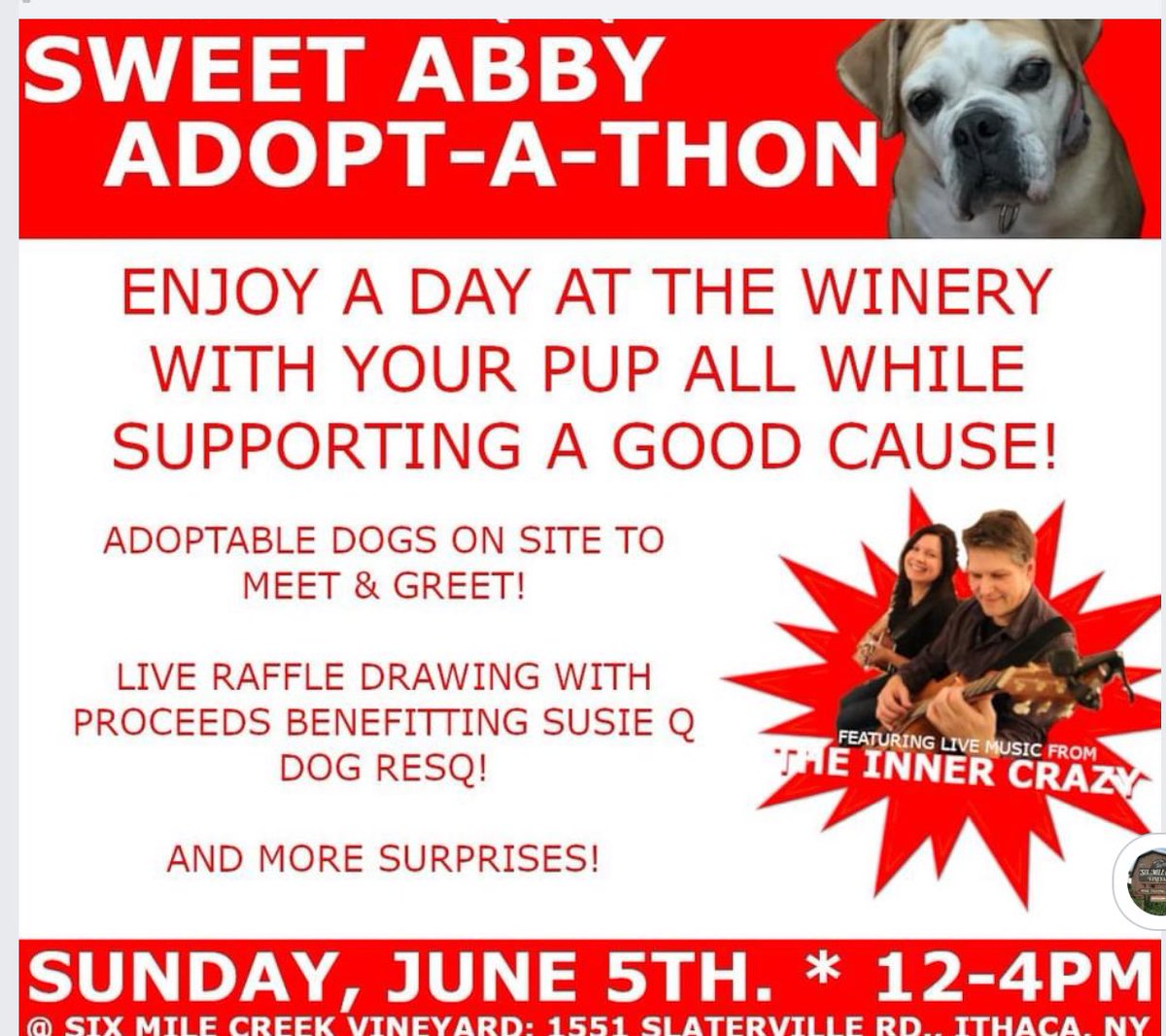 This Sunday we’ll be raising money for Susie Q Dog ResQ susieqdogresq.com and doing a live drawing for our wine rack/case raffle! Adoptable dogs will be on site as well as live entertainment from The Inner Crazy! facebook.com/kimandalan95/ 
Come meet your new best friend!