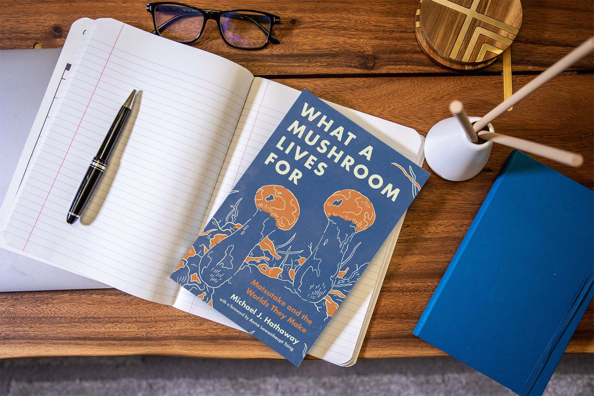 sfu_sa's tweet image. Join #SFU anthropology professor Michael Hathaway on June 15 at 6pm at @MassyBooks for the launch of his new book: 

What a Mushroom Lives For: Matsutake And the Worlds They Make

The event is free &amp;amp; open to all but registration is required:
events.sfu.ca/event/29457-bo…