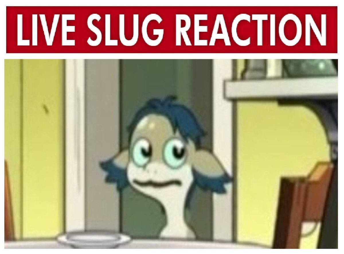 leevilbirdy tweet media