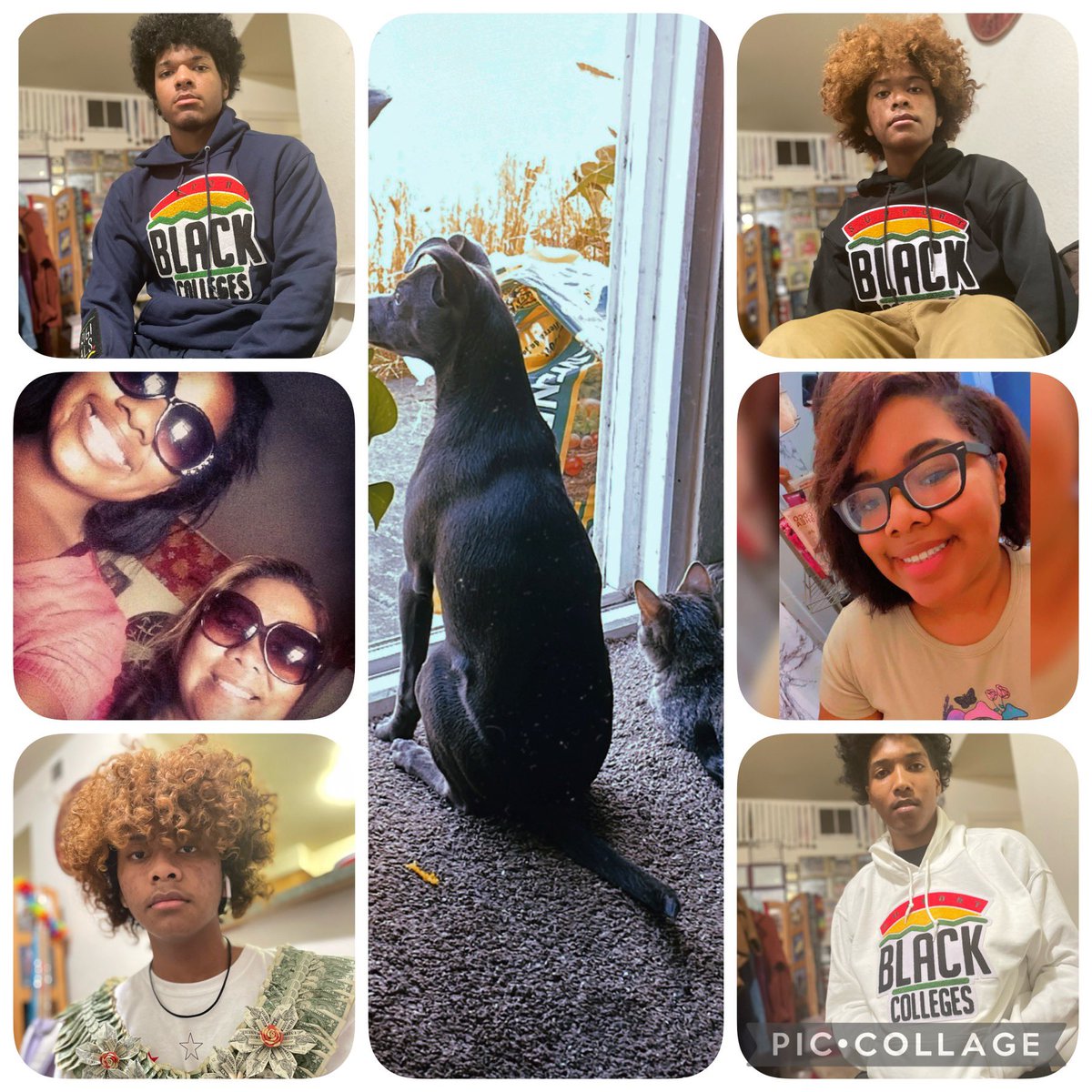 teenah81's tweet photo. My blessings❤️🥰 #mixedbabies #afakasi #samoanpride #keyboyz #semaialuv #myfurbabies🐈🐶 #luna #lilo https://t.co/oS07nbYST6