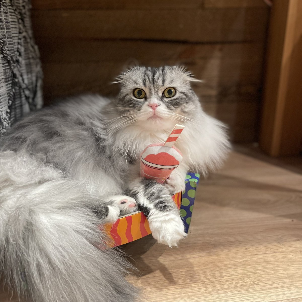 fitty200's tweet image. My favorite drink 🍹