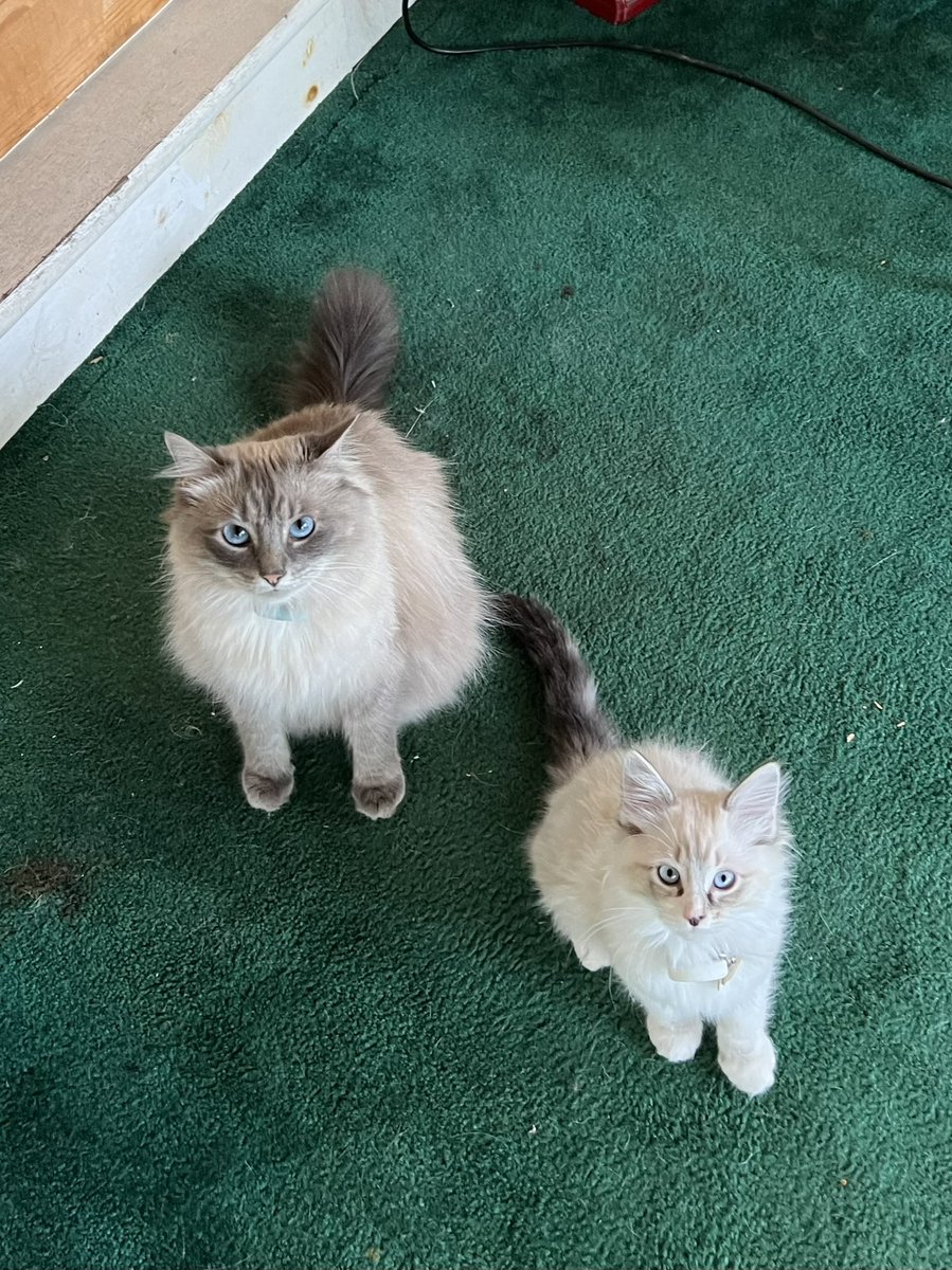 Guys who are sitting