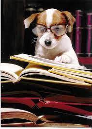 High School Students of the Month and Quarter isd740.org/article/756824…