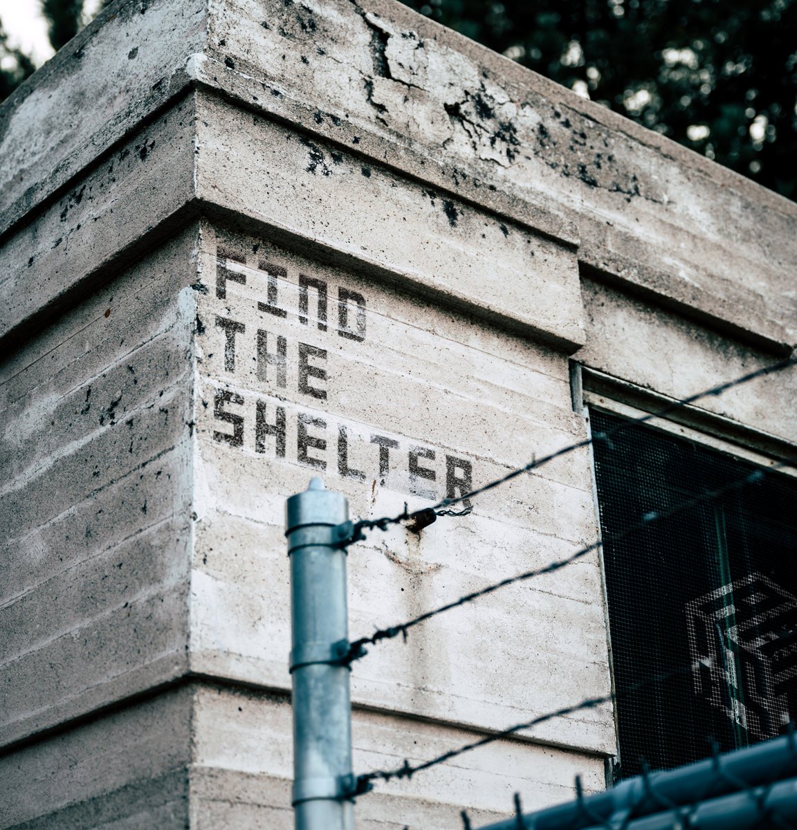 The Shelter is a globally connected underground network, home to the anonymous netrunners known as the Citizens of Tajigen. 

A place where we learn, plan, collaborate, spread the gm's, and build: to bring back decentralization &amp; freedom to counter the new world order.

多 次 元