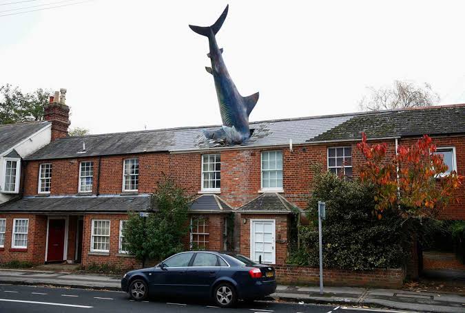 OCFCBR's tweet photo. 🗺️ - Se um dia você for a Oxford... TEM que ver esse lugar.

Sim, isso é em Oxford.

O Headington Shark foi ideia do próprio dono da casa, em 1986 e obviamente virou ponto turístico.

Apenas 3km distante do nosso estádio, então se for visitar um, não se esqueça de ver o outro 😉 https://t.co/XsTgRyZvMr